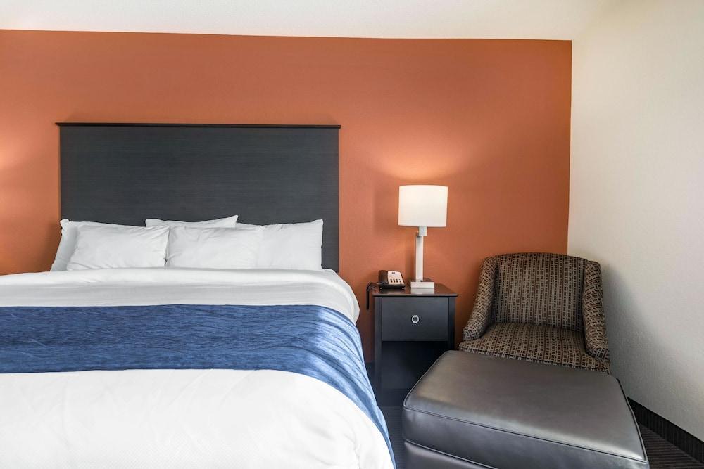 Comfort Inn Wings Stadium Kalamazoo Exteriér fotografie