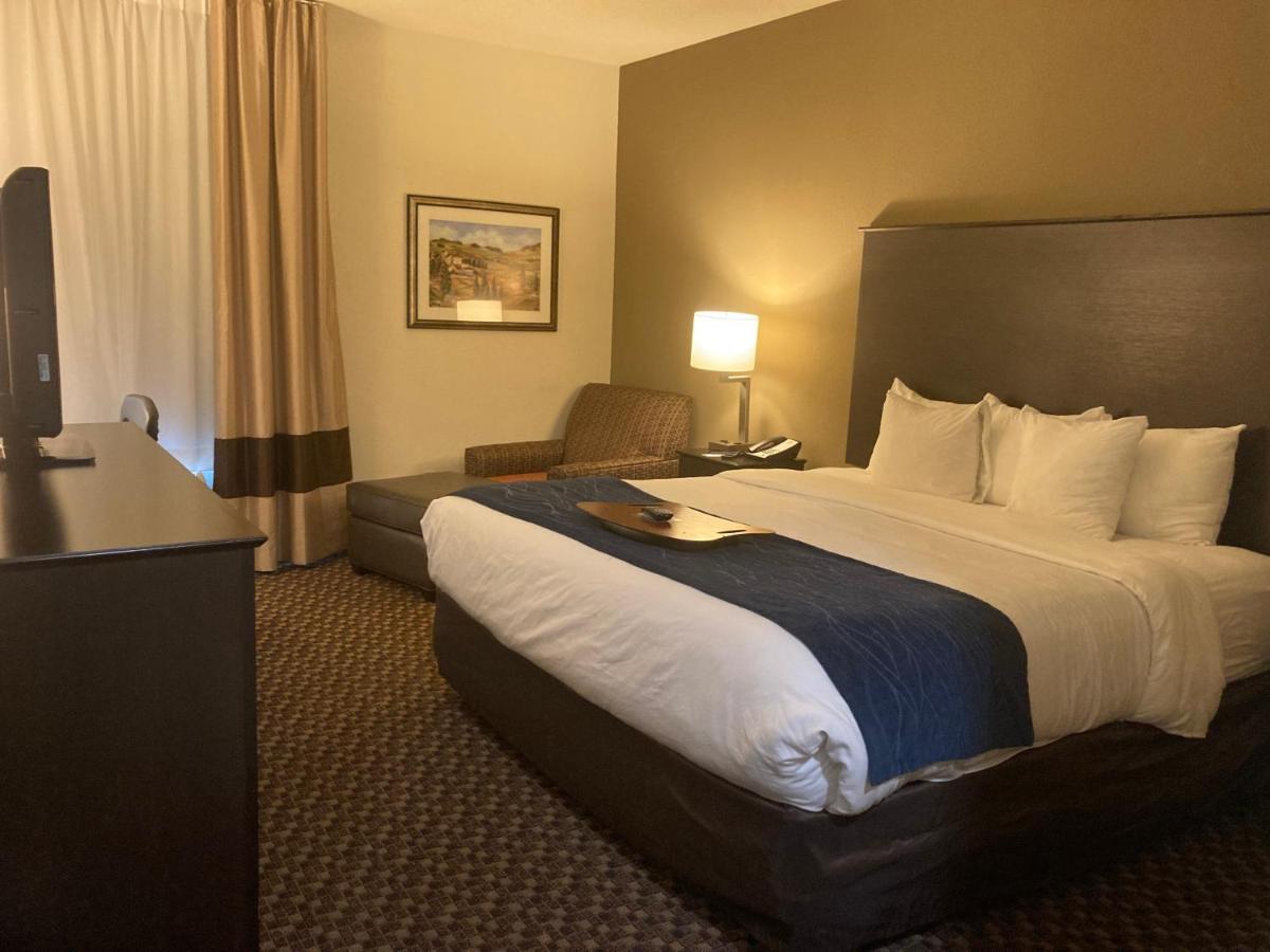 Comfort Inn Wings Stadium Kalamazoo Exteriér fotografie