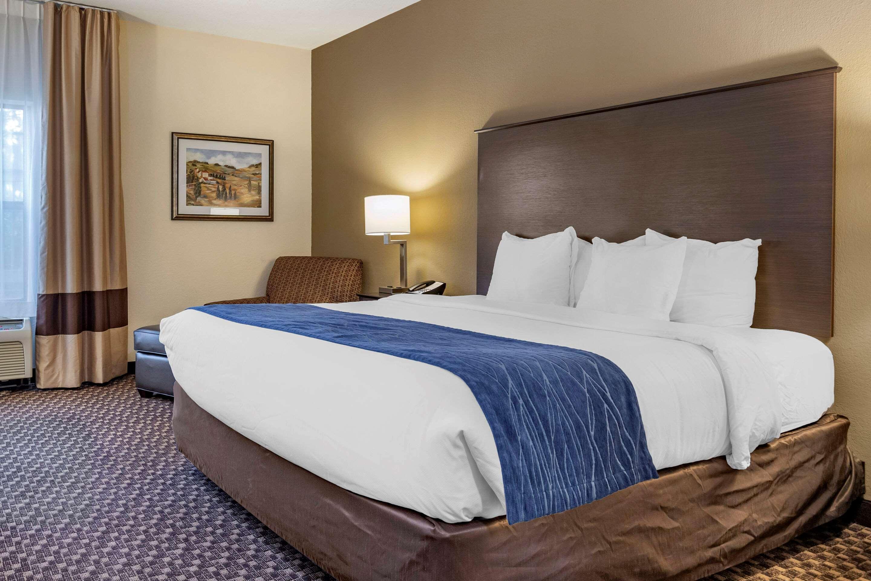 Comfort Inn Wings Stadium Kalamazoo Exteriér fotografie