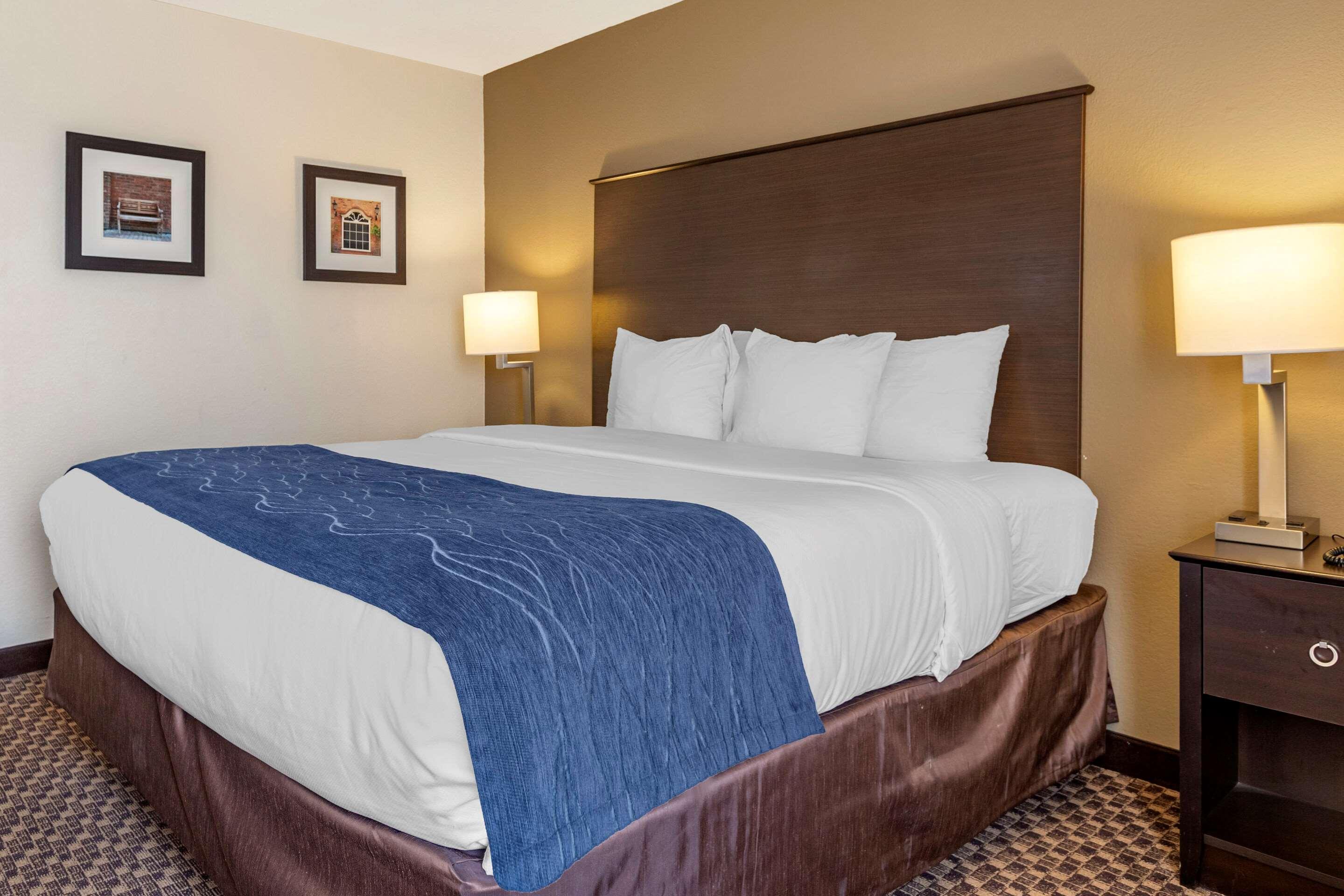 Comfort Inn Wings Stadium Kalamazoo Exteriér fotografie