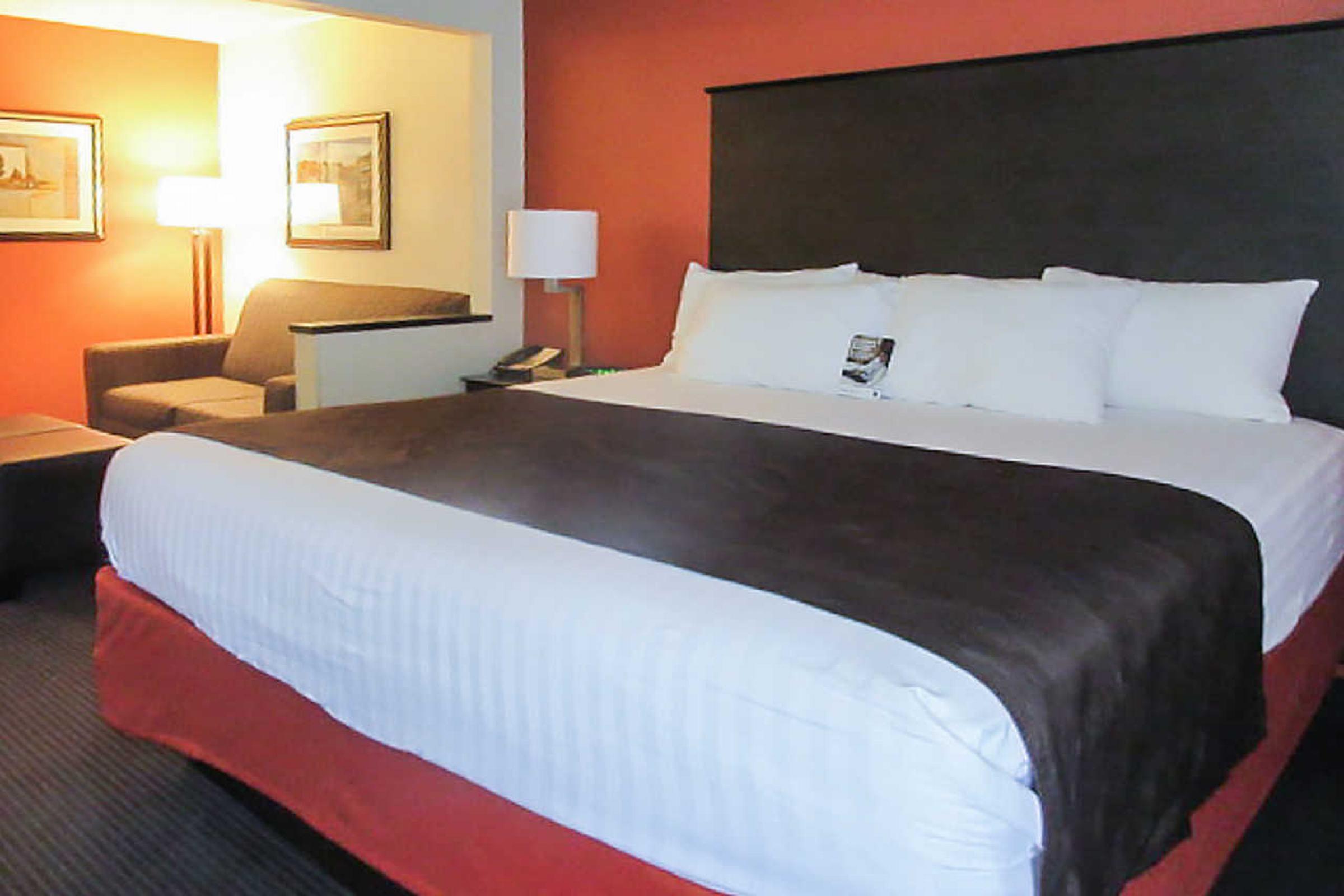 Comfort Inn Wings Stadium Kalamazoo Exteriér fotografie